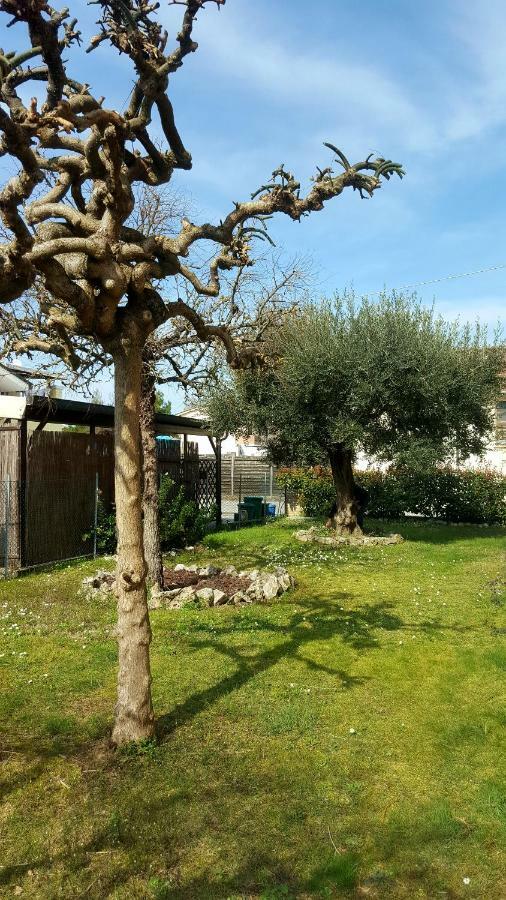 Molinaccio Villa Bracci المظهر الخارجي الصورة